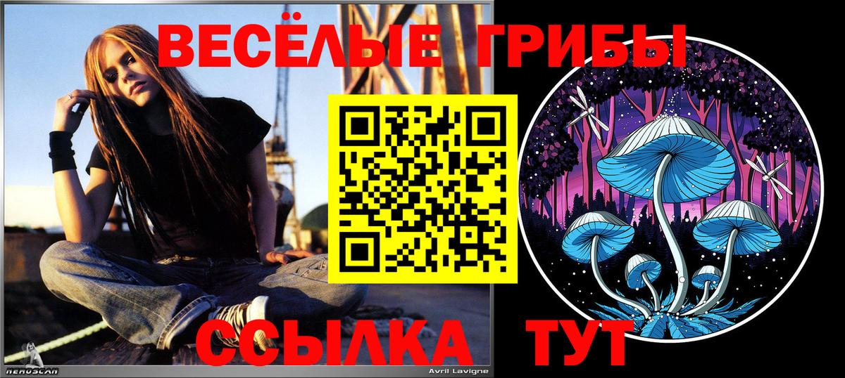 Галлюциногенные грибы Psilocybe  Псилоцибиновые грибы Psilocybine cubensis  Вход с VPN  Конаково 